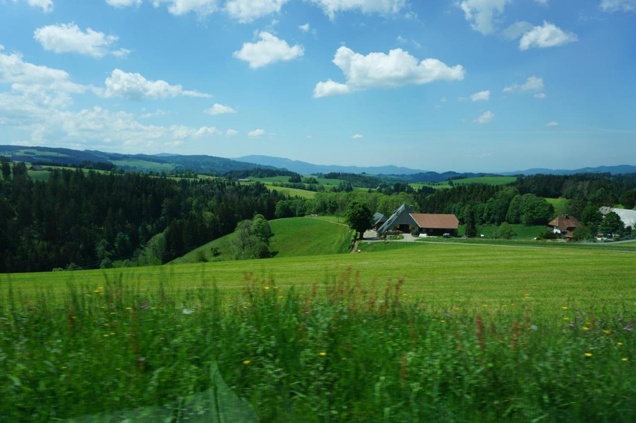 Kurparkhotel Faißt Bad Peterstal-Griesbach Exterior foto